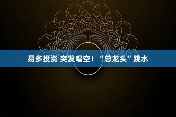 易多投资 突发唱空！“总龙头”跳水