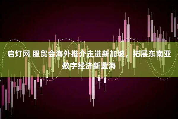 启灯网 服贸会海外推介走进新加坡，拓展东南亚数字经济新蓝海