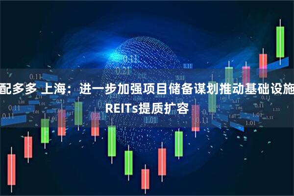 配多多 上海：进一步加强项目储备谋划推动基础设施REITs提质扩容