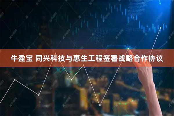 牛盈宝 同兴科技与惠生工程签署战略合作协议