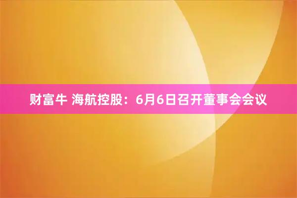 财富牛 海航控股：6月6日召开董事会会议